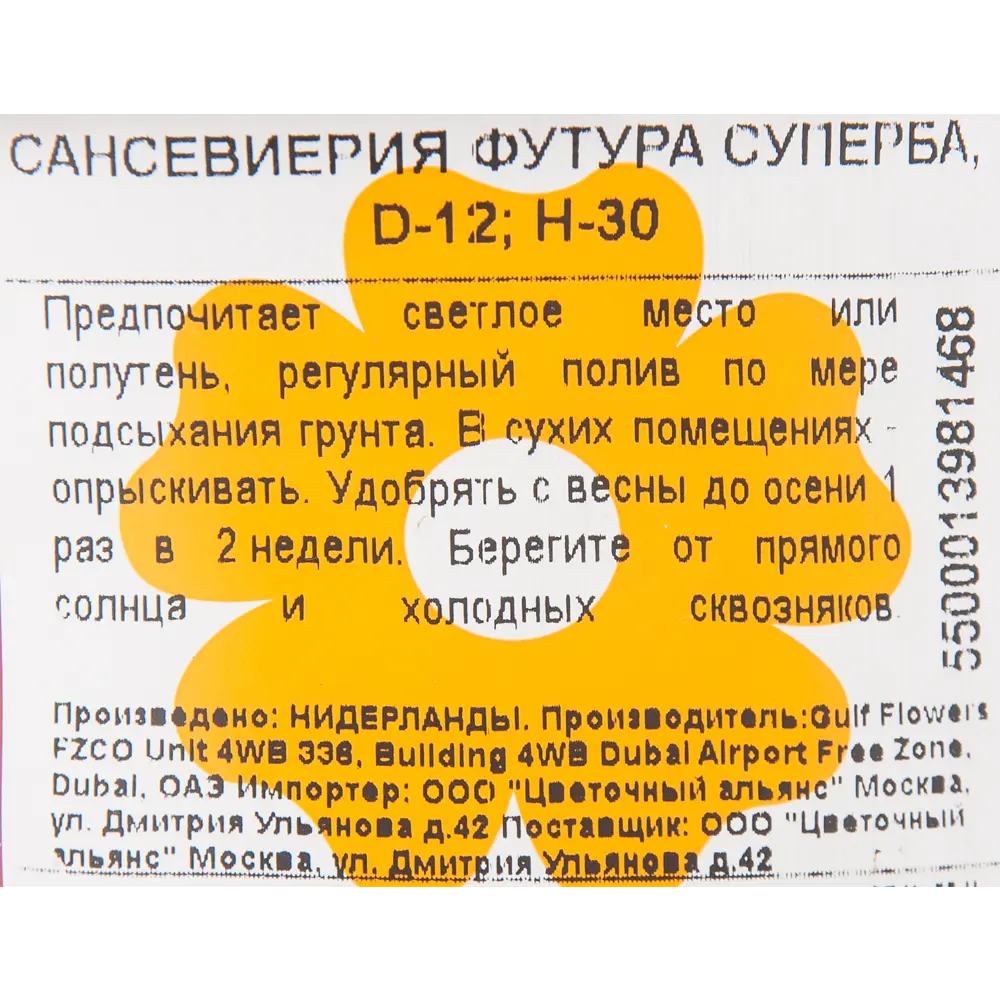 Сансевиерия "Футура Суперба" 12x30 см 82850384 STLM-2139644 Santreyd  - Вид №2