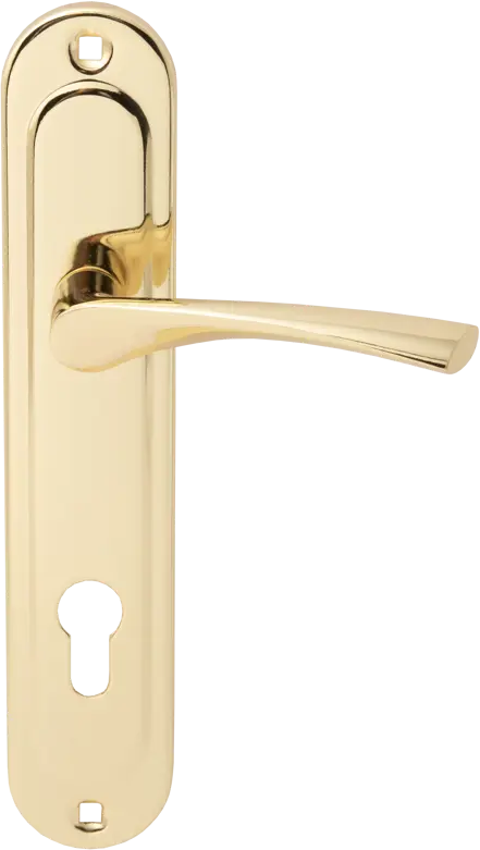 Дверная ручка Vanger на планке для входных дверей с золотым покрытием 83577648