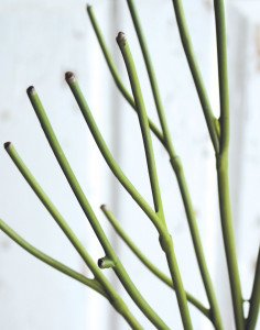 4206 883 a3 Искусственная декоративная веточка 'карандашный кактус', 50 см, зеленая H-andreas