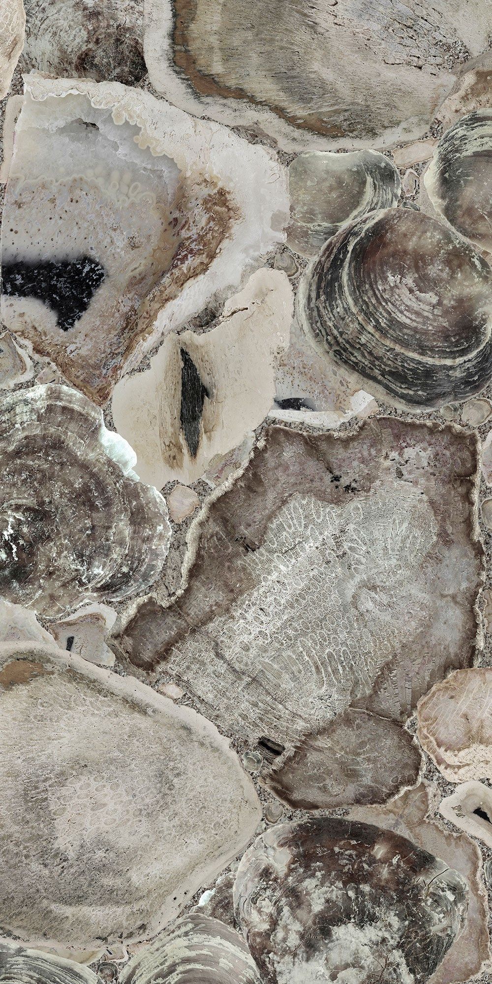 Декоративная панель из алюминия, стекла или ПММА Tecnografica Atlantis ARCH-00076648 - Вид №2