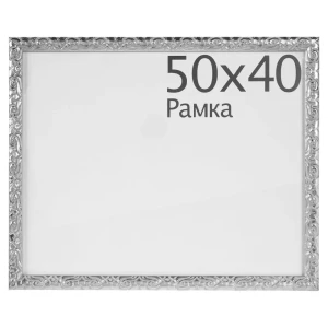Рамка Paola 50x40 см пластик цвет серебро 18464621 STLM-2029171