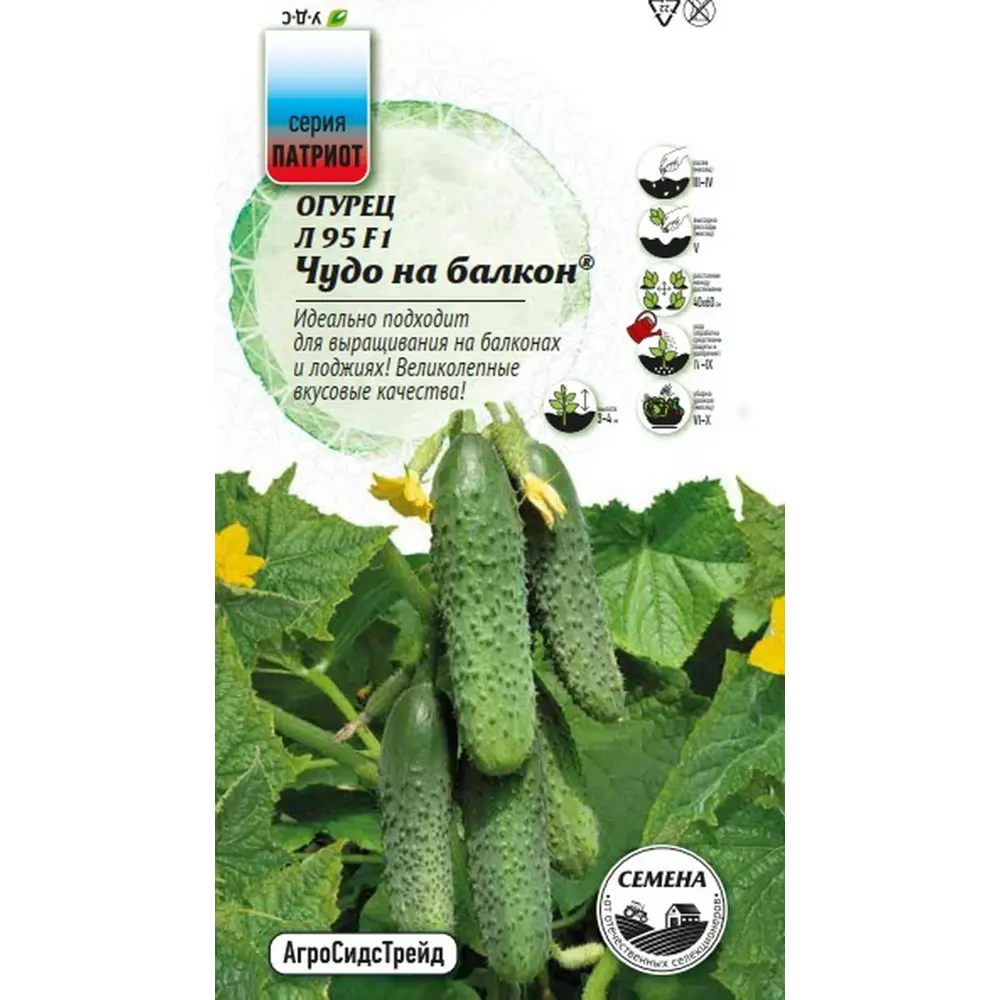 Семена овощей Агросидстрейд Патриот огурец Чудо на балкон F1 STLM-2007633 - Вид №2