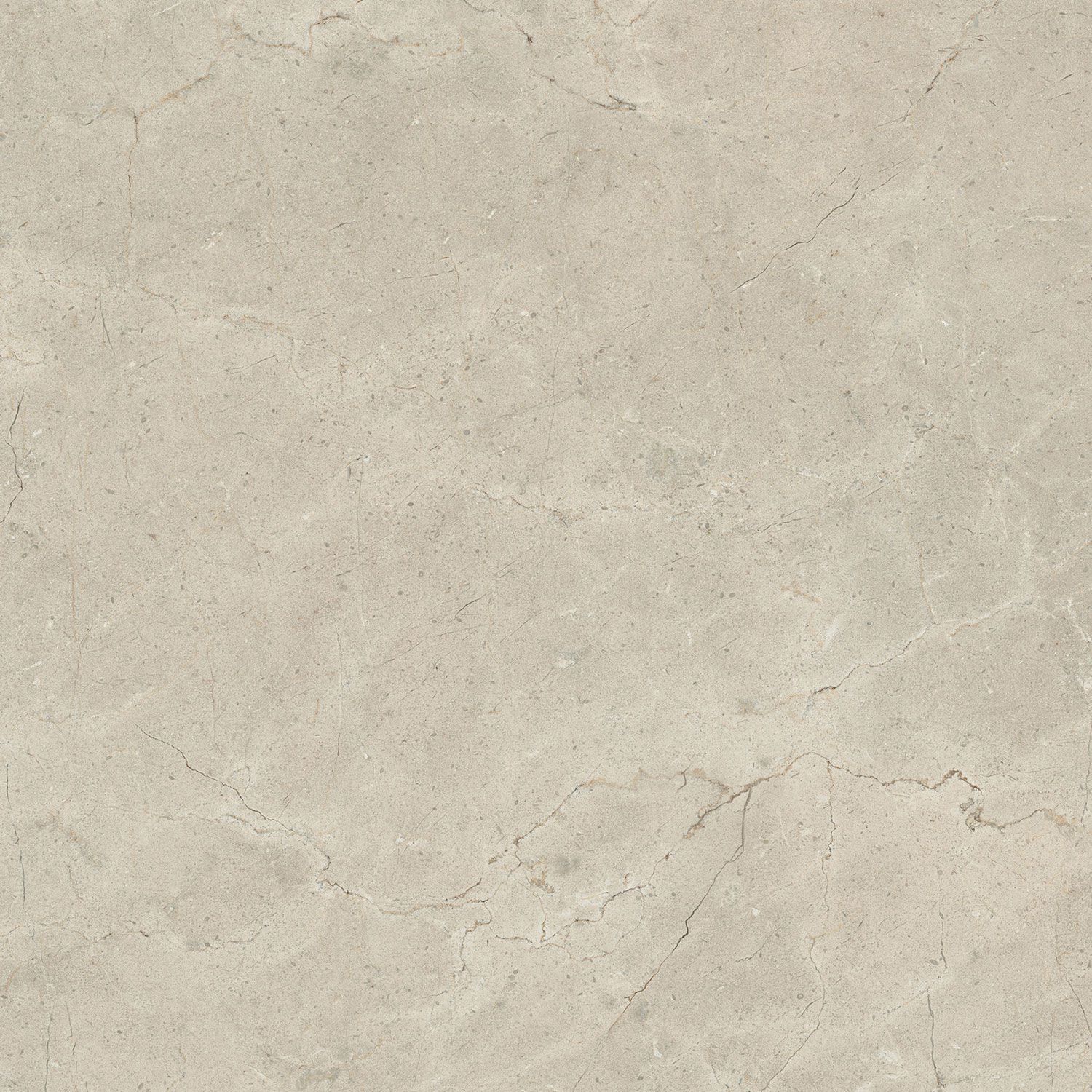 Пол / облицовка керамогранита с эффектом камня Italgraniti Calcis ARCH-00112215 - Вид №13