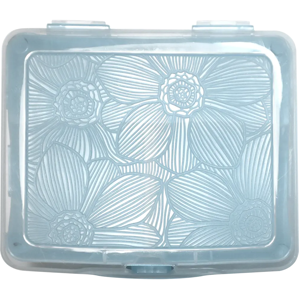 Органайзер для хранения XS 11x9.7x4.2 см пластик с крышкой цвет голубой Santreyd STLM-2161652 - Вид №2