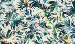 Тропические обои ПВХ бесплатно, экологически чистые, моющиеся