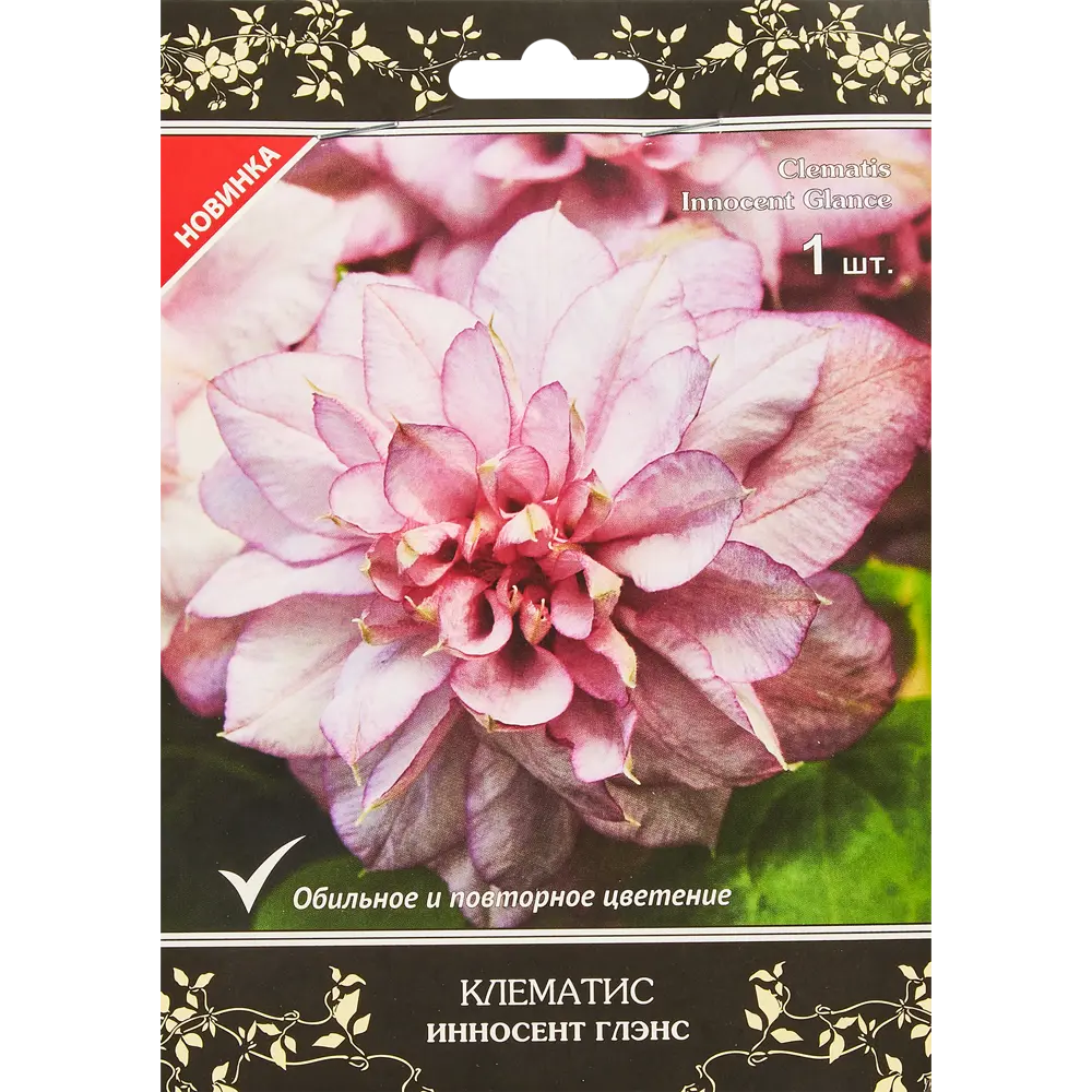 Клематис крупноцветковый Люкс Инносент Глэнс h30 см 83431384 STLM-2180907 Santreyd 