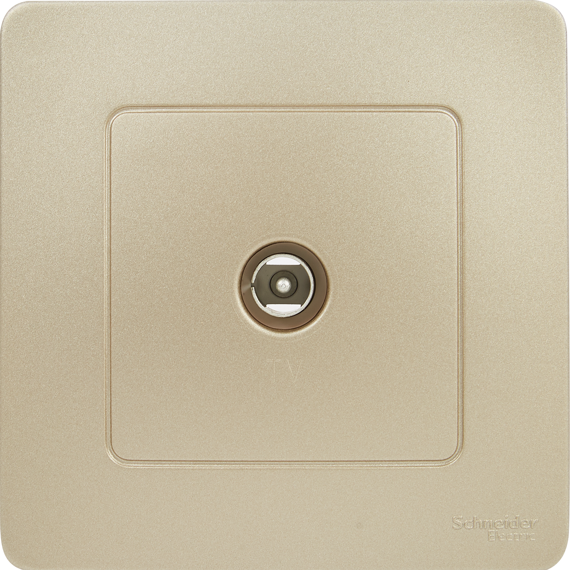 ТВ-розетка Schneider Electric Blanca для скрытого монтажа в цвете титан 84500059