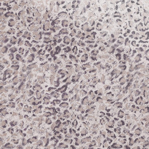 SICIS Jungle Warrior 03 Vetrite Tile