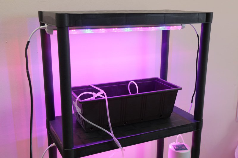 1911 Стеллаж для рассады 141*60*30 LAB.Space  - Вид №7