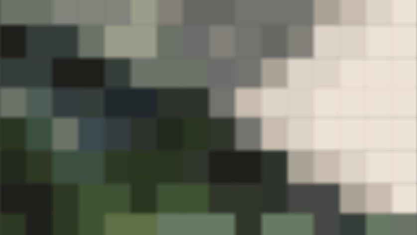 Baboon Обои с виниловым рисунком Bespoke sun-id-1392698 - Вид №1