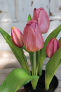 2947 220 a3 Тюльпан шелковые цветы, в горшке, 5-кратный, 25 см, real touch, светло-фиолетовый H-andreas