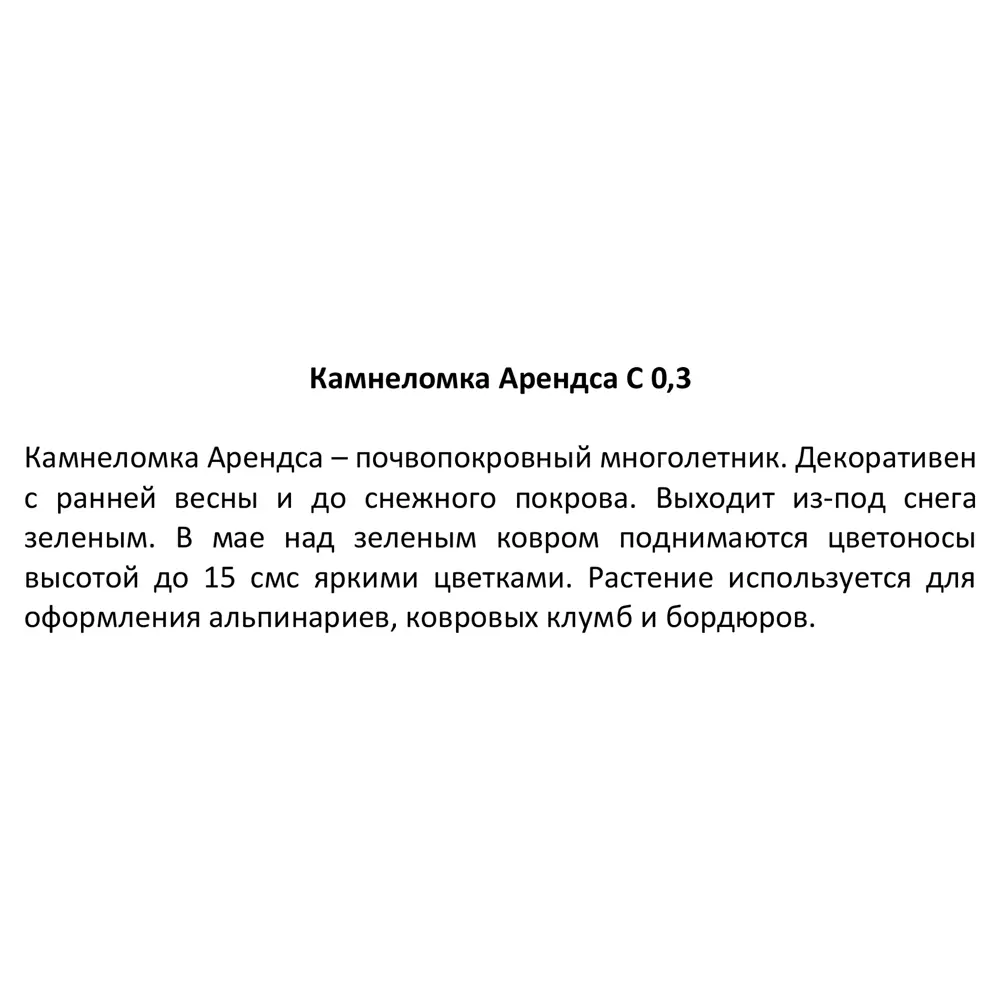 Камнеломка Арендса h15 см 84845141 STLM-2127319 Santreyd  - Вид №3