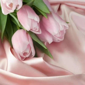 WP01316 Фотообои Verol Фотообои decoline 1х1 м