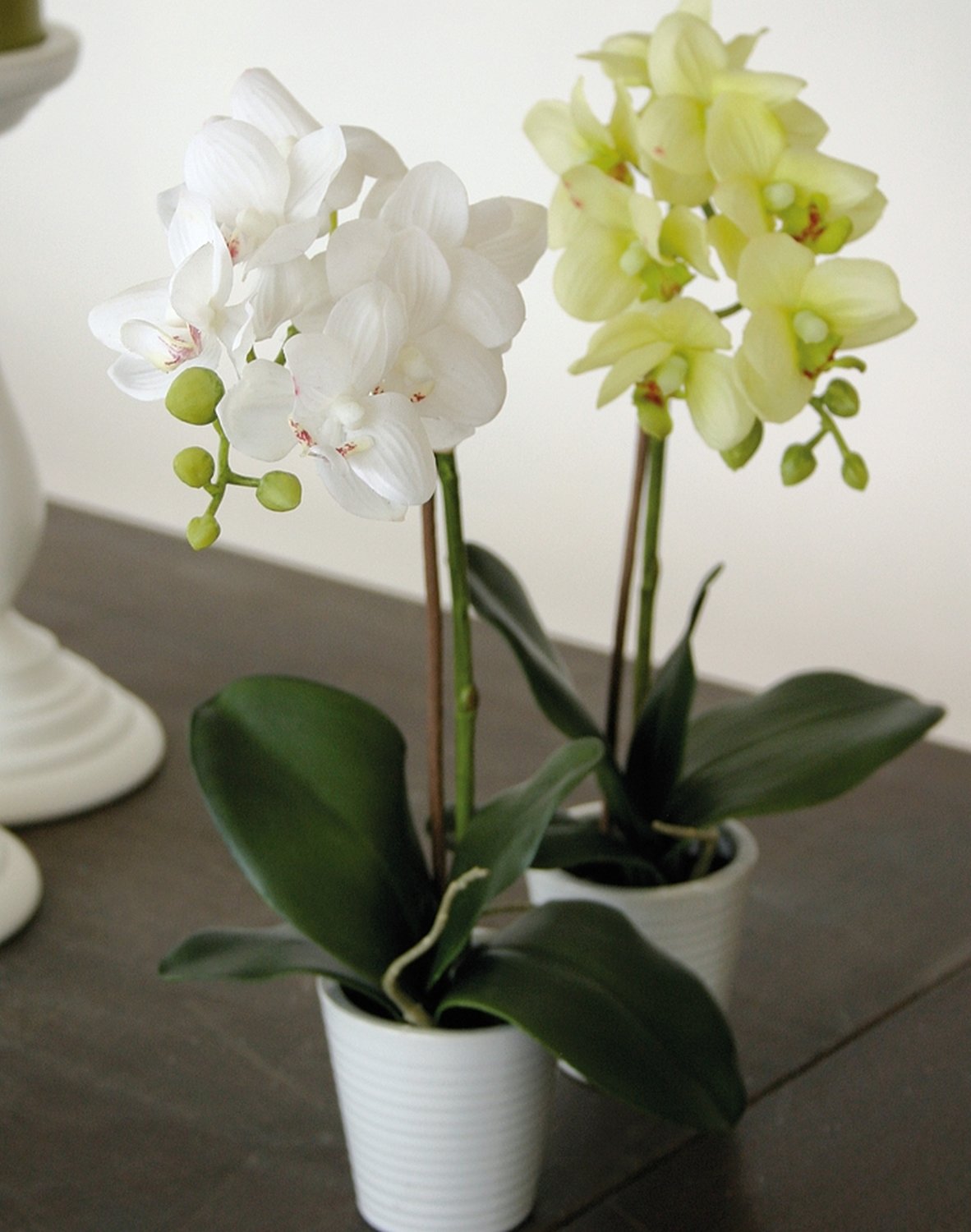 2610 788 a3 Пластиковая орхидея Phalaenopsis, горшечная, 33 см, real touch, бежево-зеленая H-andreas 