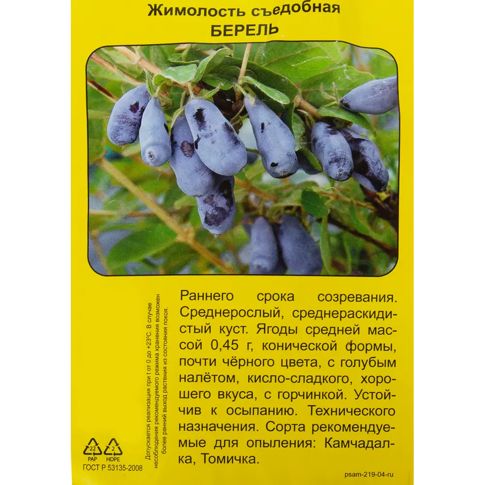 Жимолость съедобная Берель h40 см 83791426 STLM-2039324 Santreyd  - Вид №1