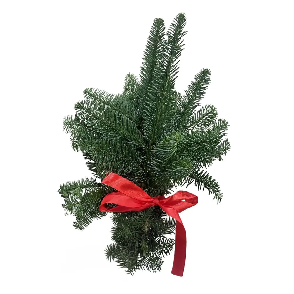 Лапник Букет микс 20 см Santreyd STLM-2173225 - Вид №3