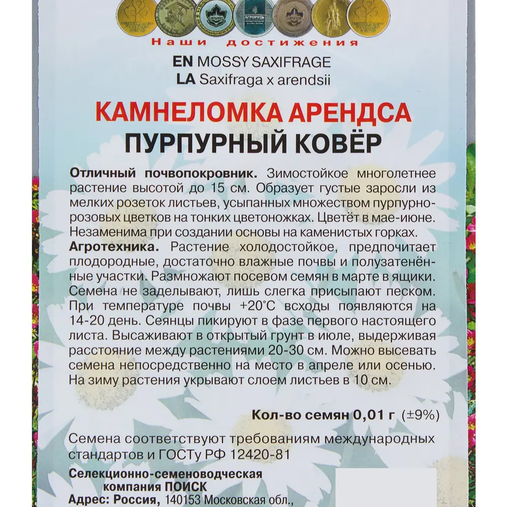 Камнеломка «Арендса Пурпурный ковёр» ПОИСК STLM-2033102 - Вид №2