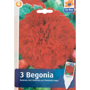 Бегония фимбриата красная жёлтая 5/6, 3 шт 82539271 STLM-2204196