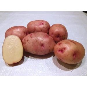 Картофель Жуковский ранний супер 25 кг