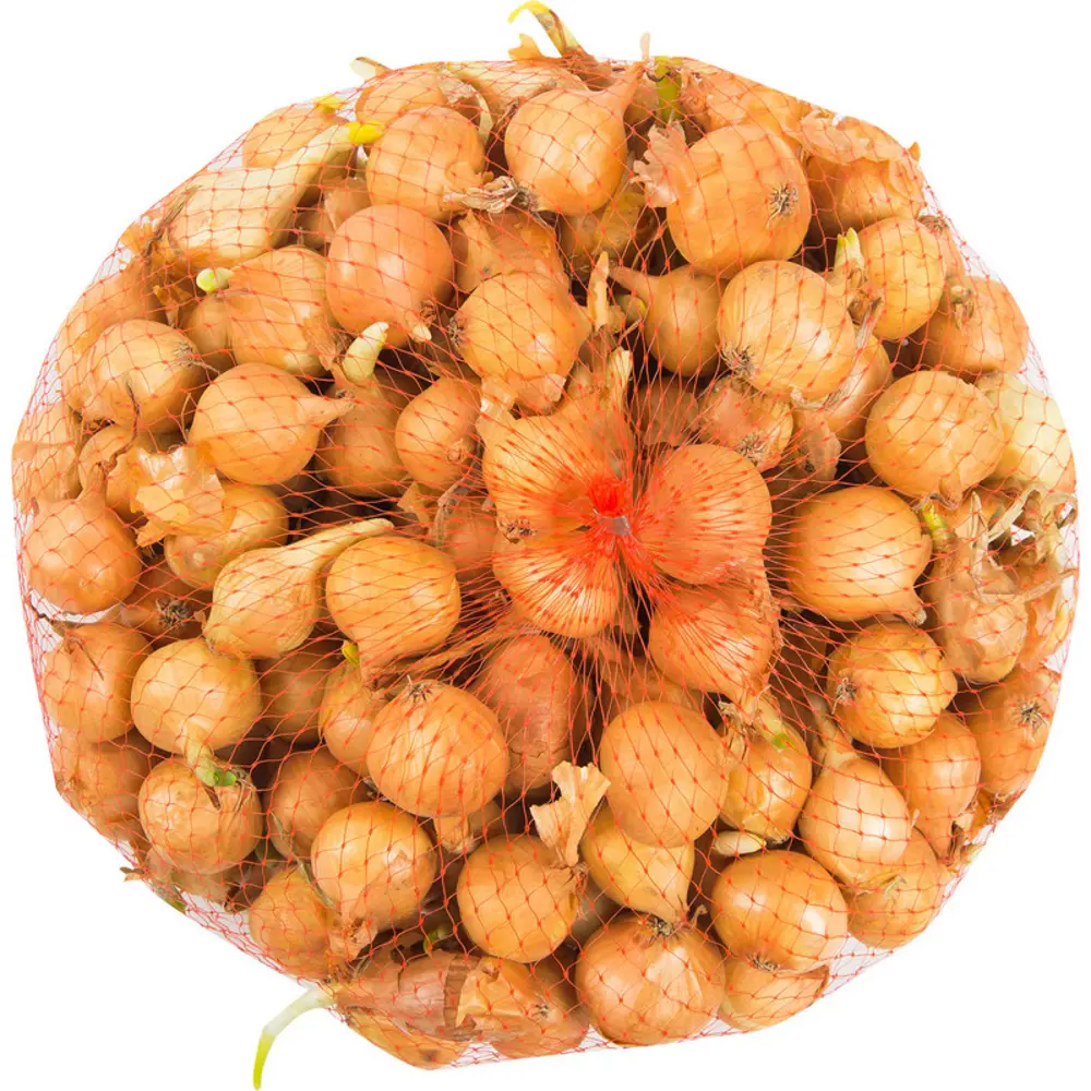 Лук-севок Шекспир Нидерланды 14/21, 0.45 кг Santreyd STLM-2020549