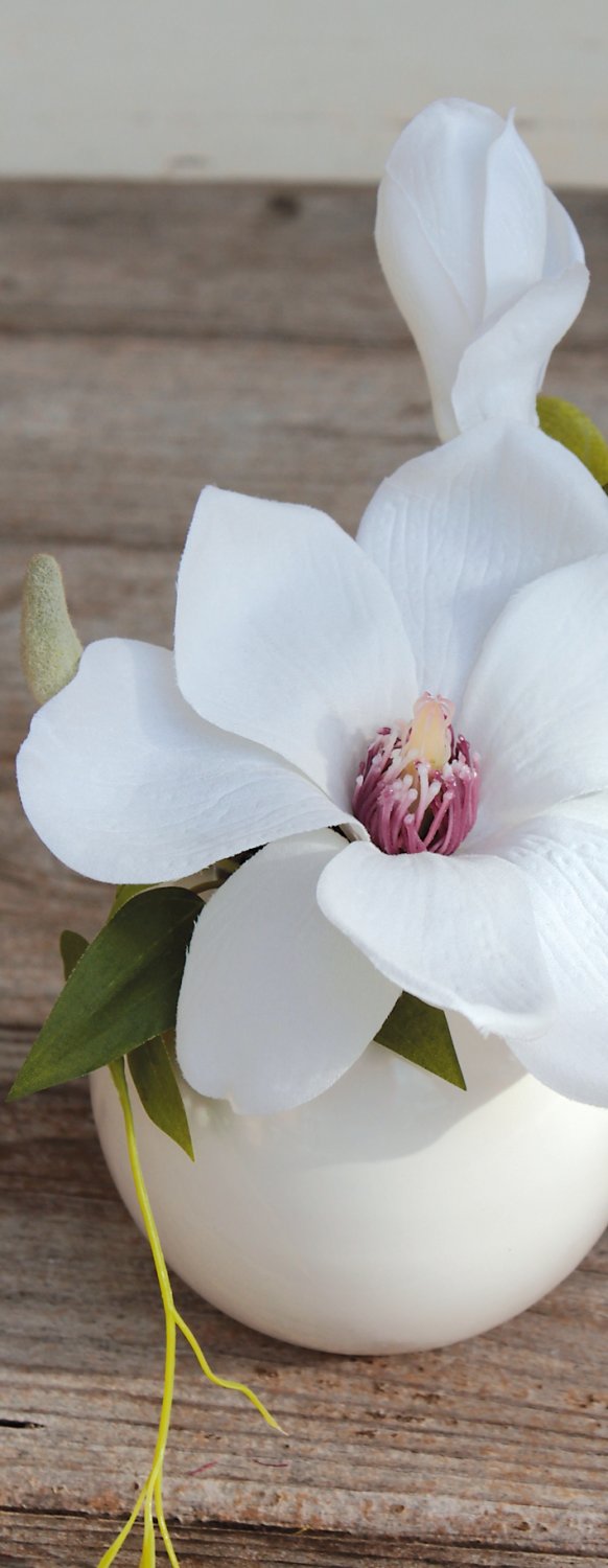 4218 778 a3 Искусственная магнолия в керамическом горшке, 15 см, бежево-белая H-andreas  - Вид №2