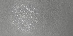 Декор графит лаппатированная 1200x600