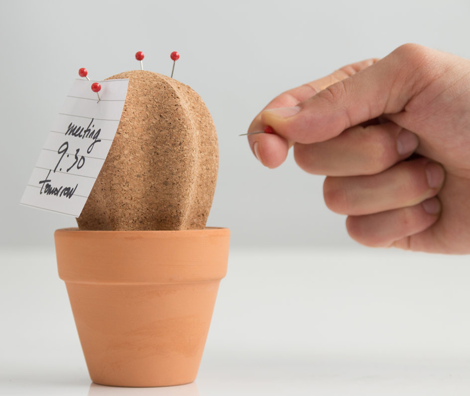 SK CORKCACTUS1 Настольный органайзер cork cactus Suck UK  - Вид №5