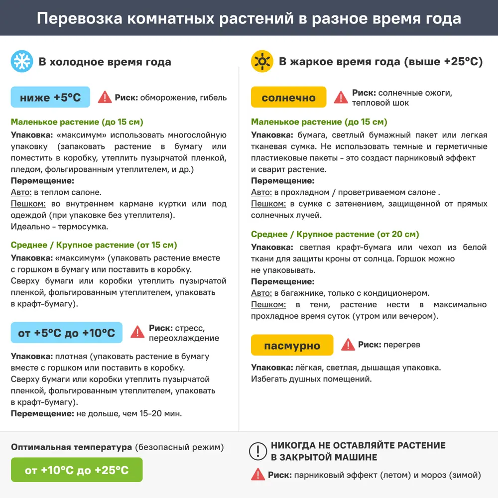 Орхидея Фаленопсис каскад ø12 h45 см Santreyd STLM-2120359 - Вид №2