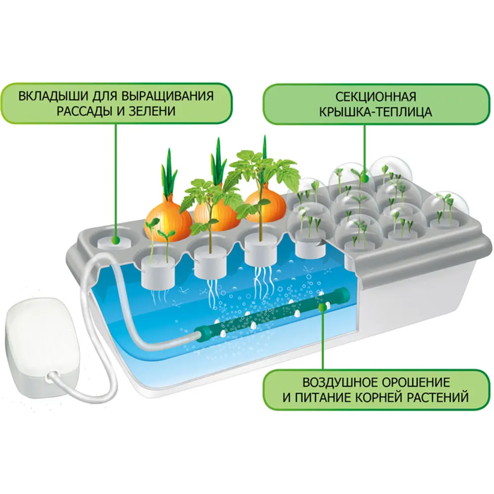 Проращиватель Здоровья клад «Чудо грядка» Santreyd STLM-2149164 - Вид №2