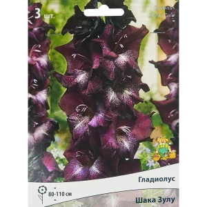 Гладиолус крупноцветковый Шака Зулу, 3 шт 86410018 STLM-2081631