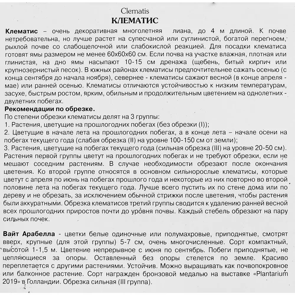 Клематис ботанический Вайт Арабелла ø5 h10 см 89353285 STLM-2033580 Santreyd  - Вид №2