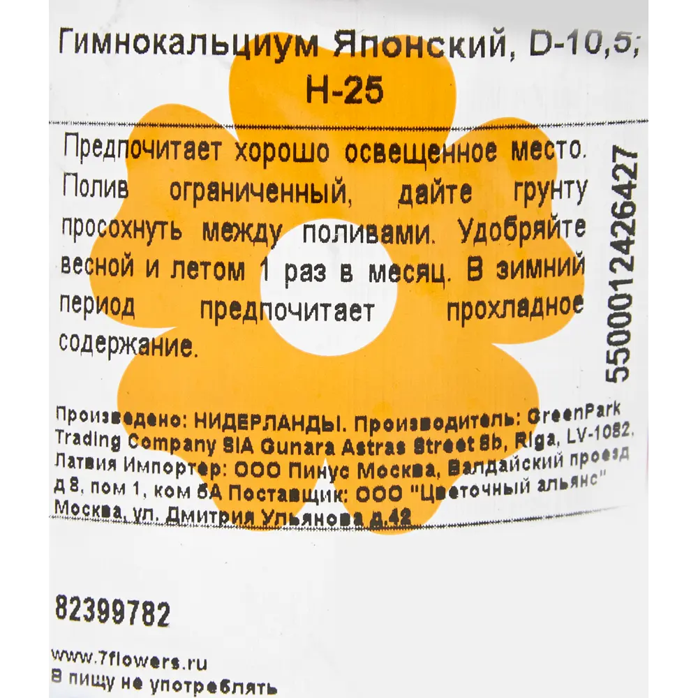 Гимнокальциум японский 10.5x25 см 82399782 STLM-2073270 Santreyd  - Вид №2
