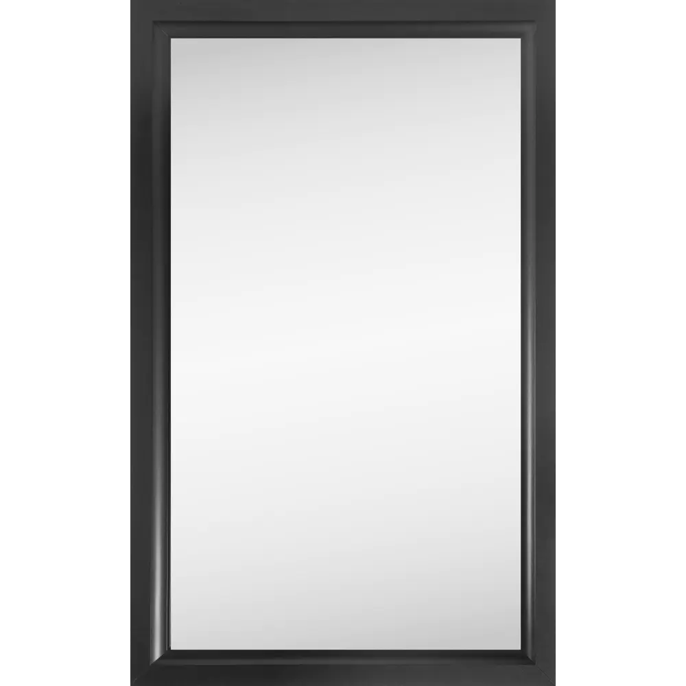 Зеркало 60х100 см цвет чёрный матовый Santreyd STLM-2188609 - Вид №1