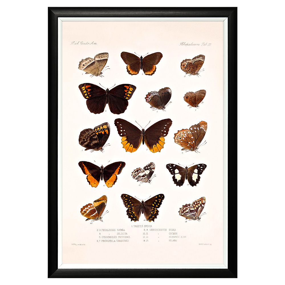 782752384_1818 Арт-постер «Тропический рай», версия 41 Object Desire 