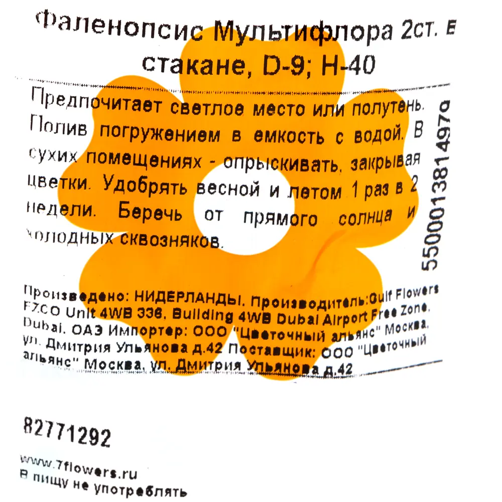 Орхидея Фаленопсис Мультифлора в кашпо 2 стебля ø9 h43 см 82771292 STLM-2142647 Santreyd  - Вид №2