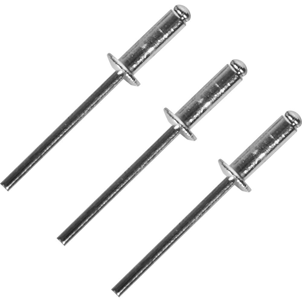 Заклепка 4x12 мм, 50 шт Santreyd STLM-2160949