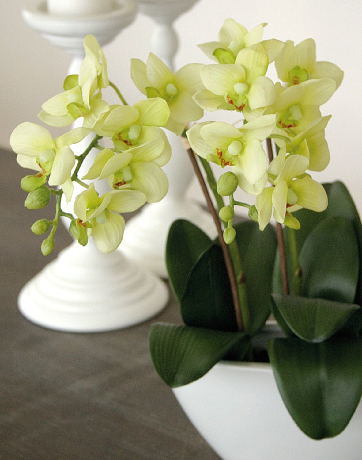 2609 788 a3 Искусственная орхидея Фаленопсис, кремово-зеленая H-andreas  - Вид №5