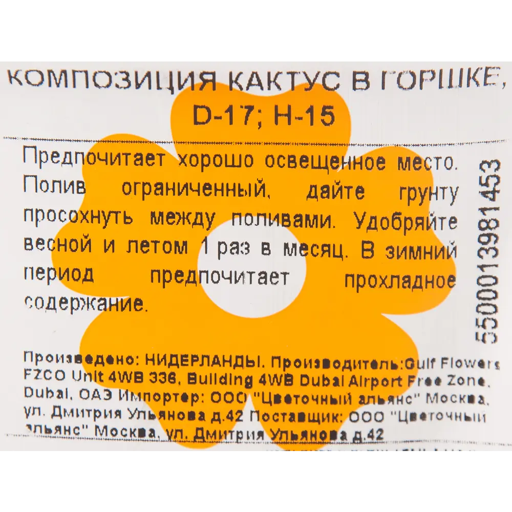 Кактус в горшке 17x15 см 82850419 STLM-2053232 Santreyd  - Вид №2