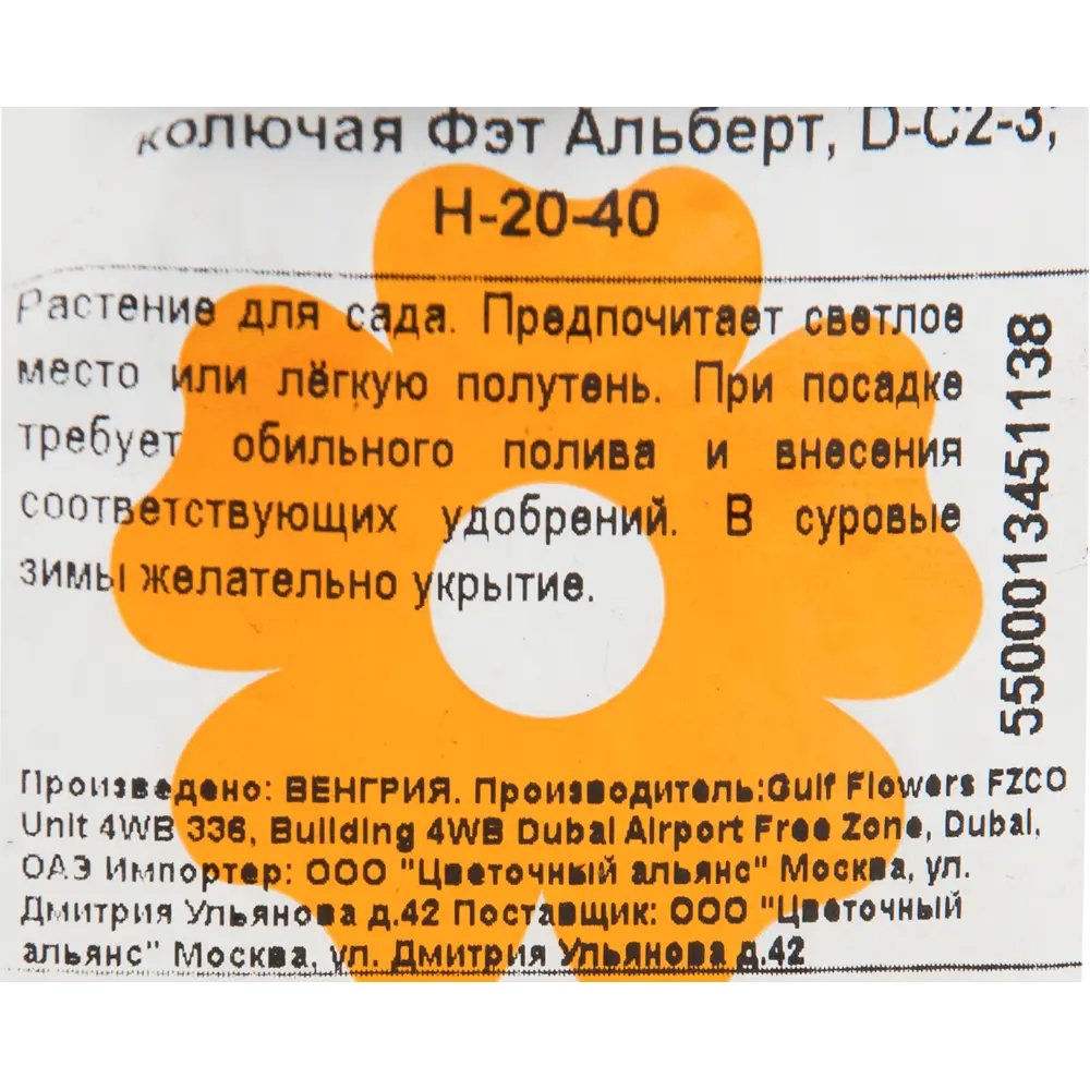 Ель колючая «Фэт Альберт» 17x30 см 82601620 STLM-2024010 Santreyd  - Вид №1