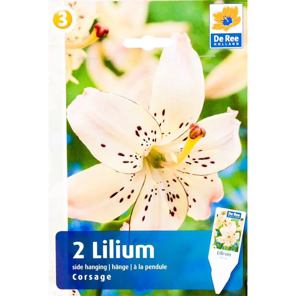 Лилия «Корсаж» 82351126 STLM-2059590 Santreyd 