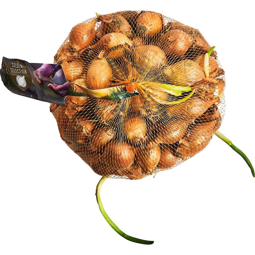 Лук-севок Сеттон луковицы 21/24 Santreyd STLM-2086311