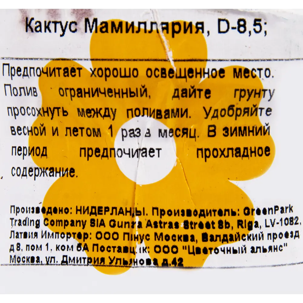 Santreyd: Кактус мамиллярия с декоративной опушкой 85x15 см 13534044 STLM-0003272 - Вид №2