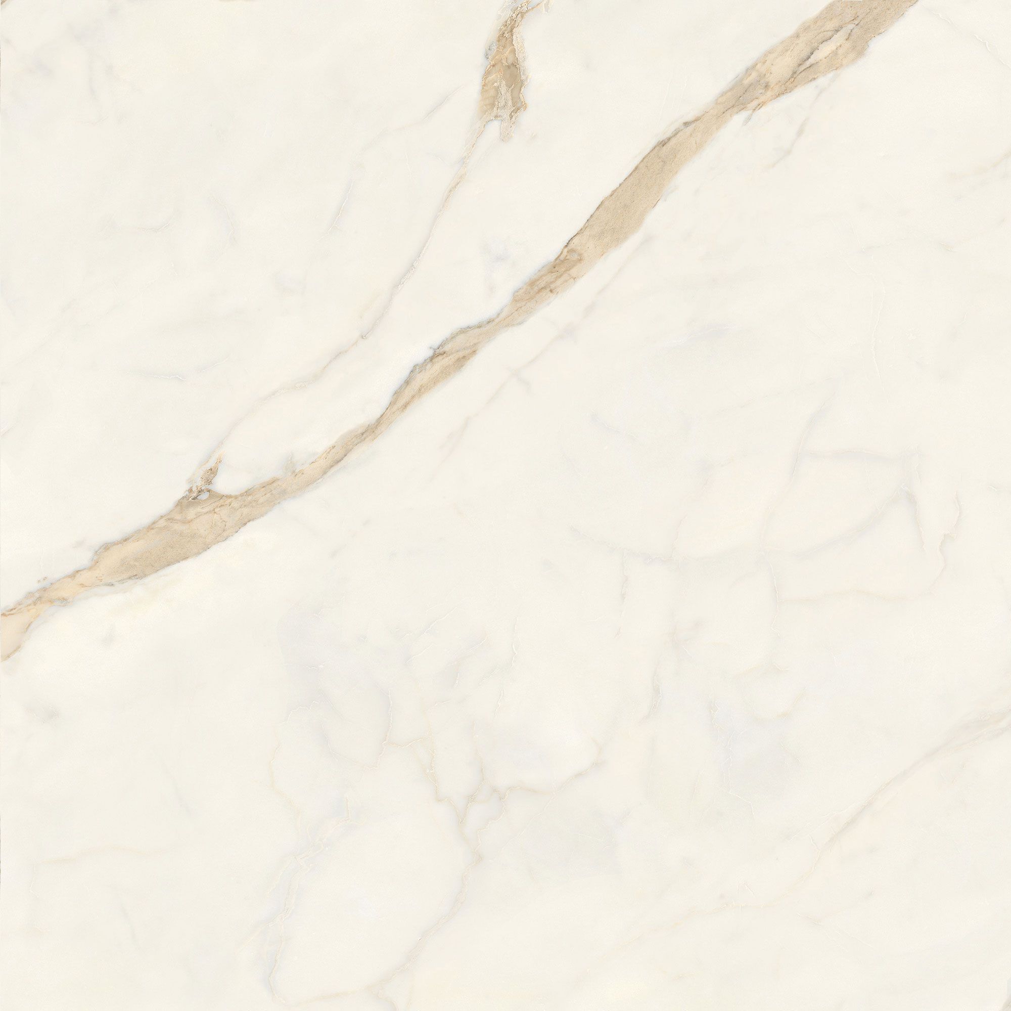 Пол / керамогранит с мраморным эффектом Italgraniti Marble Touch ARCH-00062183 - Вид №30