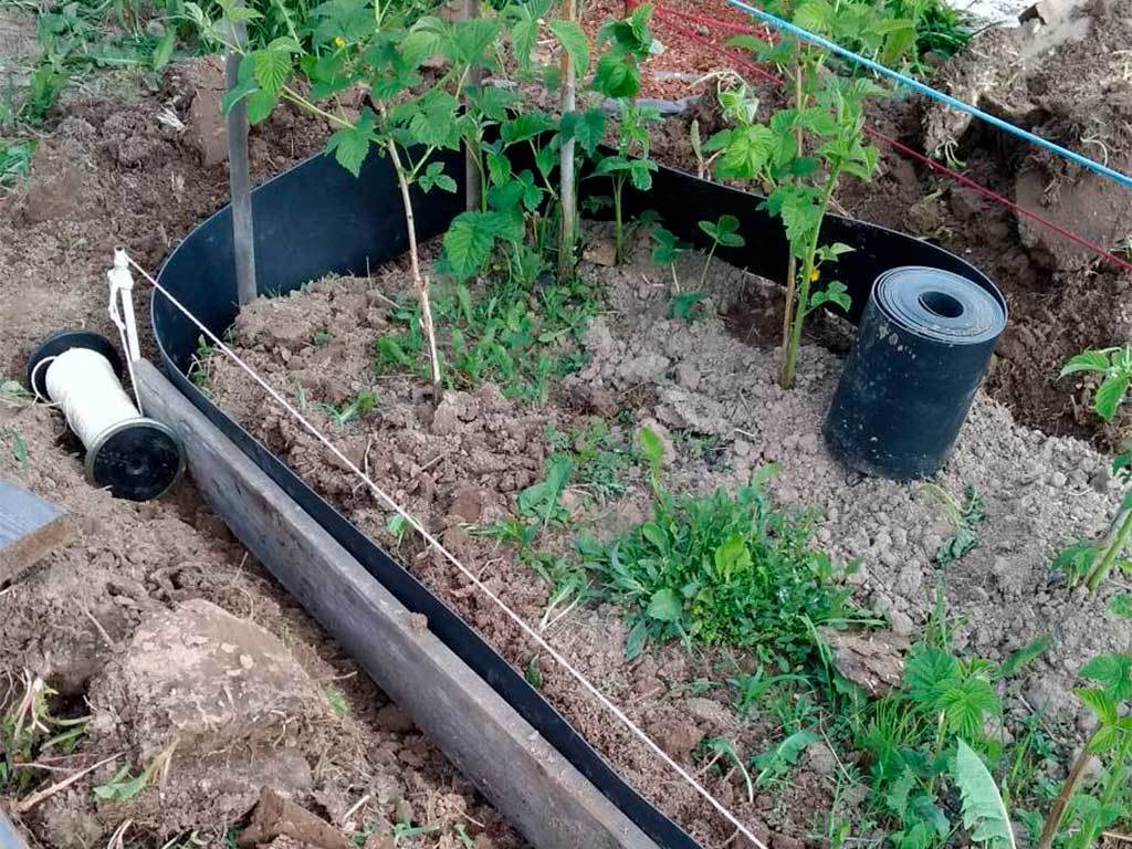 Лента бордюрная 750 мм x 10 м, 2 мм ГеоПластБорд GPBST-55 - Вид №1