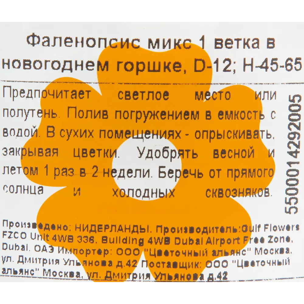 Орхидея Фаленопсис с декором ø12 h45 см Цветочный альянс 83060734 STLM-2207669 Santreyd  - Вид №2