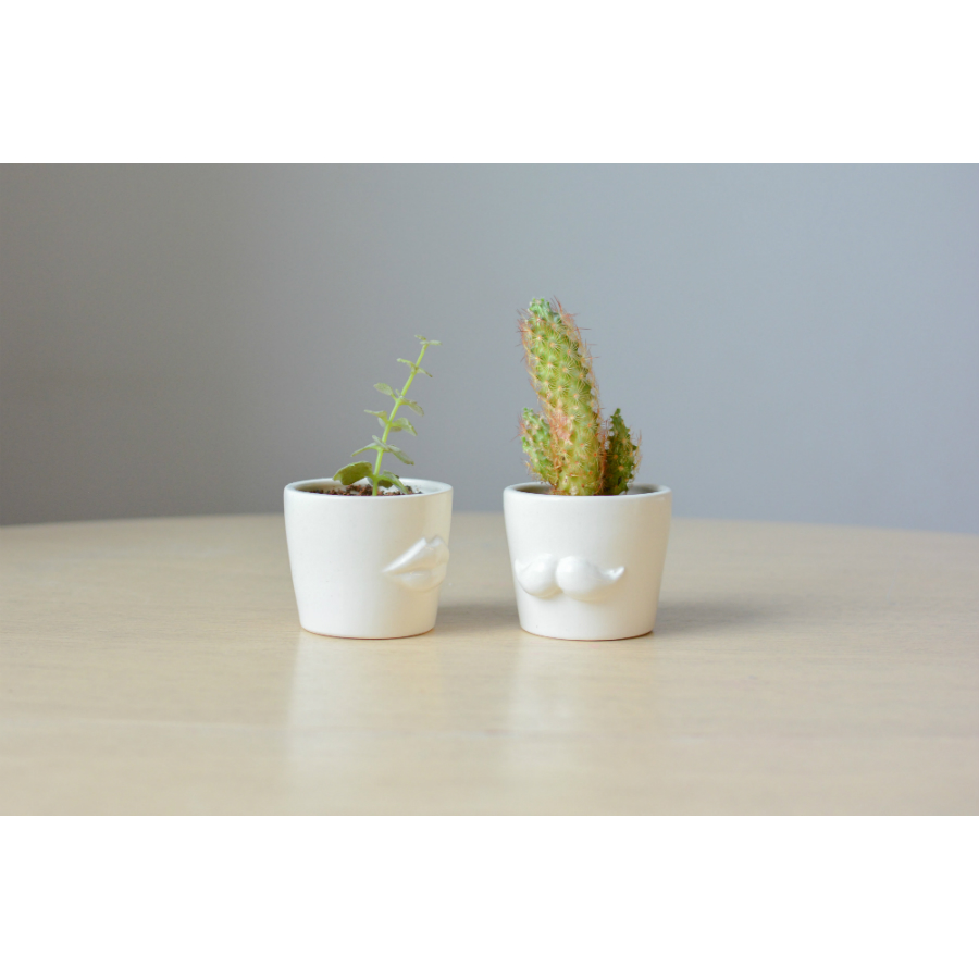 MIN-1-01 Набор для выращивания eco мини-кашпо «губы» Экочеловеки  - Вид №5