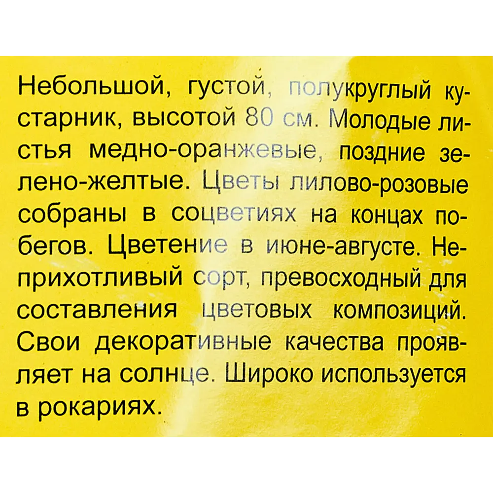 Спирея Голдфлейм h35 см 89353403 STLM-2109900 Santreyd  - Вид №2