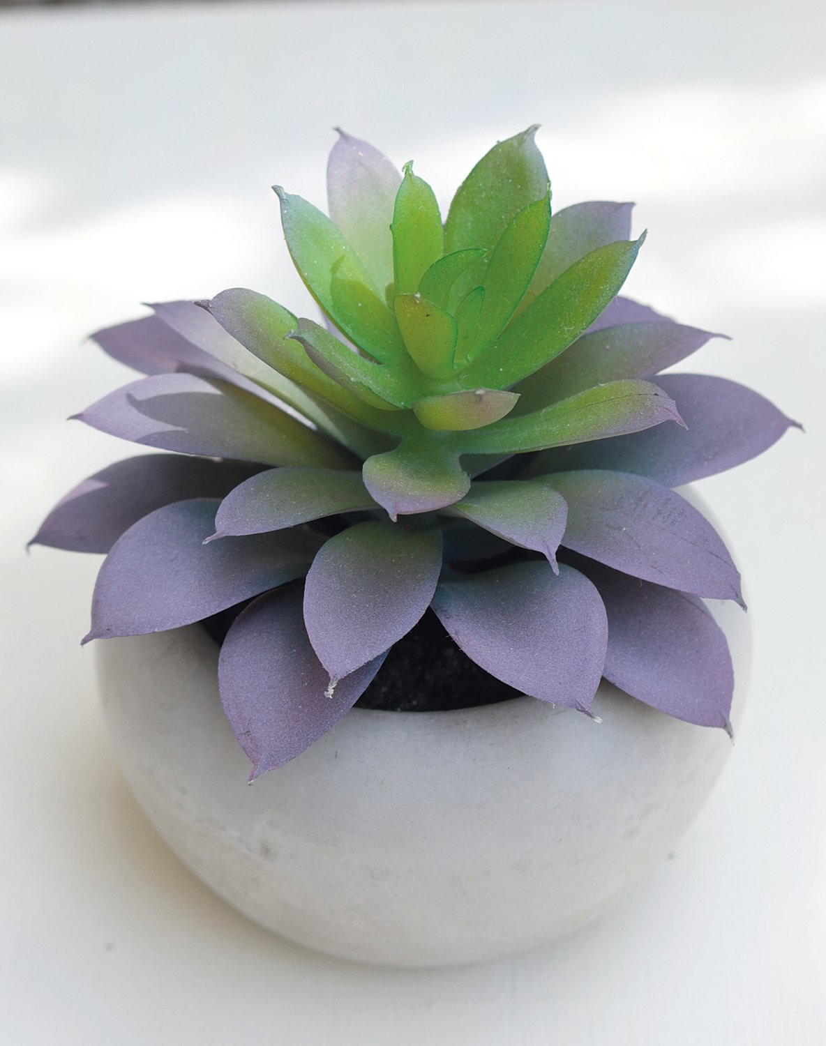 6035 883 a3 Пластиковые суккуленты-микс, горшечные, 6 шт., 7-12 см, зеленые H-andreas  - Вид №1