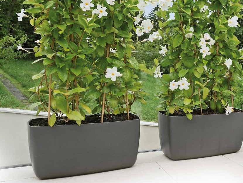 SWISSPEARL Italia Низкий бетонный садовый горшок Softline sun-id-1349382 - Вид №1