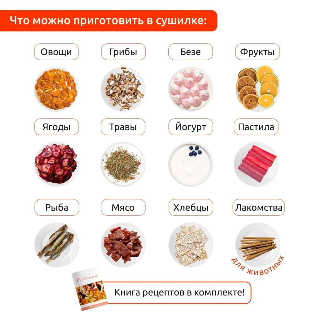 Дегидратор Santreyd PL-1105 с 11 поддонами для здорового питания 86989646 STLM-0072672 - Вид №4